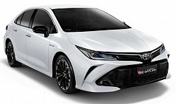 private car บริการแบบส่วนตัว